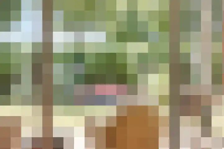 Prinsenhof 85 Ouddorp thumbnail 23