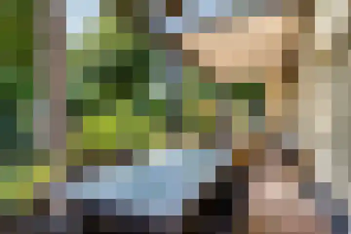 Prinsenhof 85 Ouddorp thumbnail 24