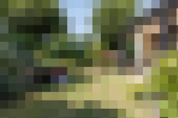 Prinsenhof 85 Ouddorp thumbnail 25