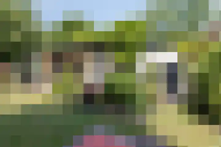Prinsenhof 85 Ouddorp thumbnail 26