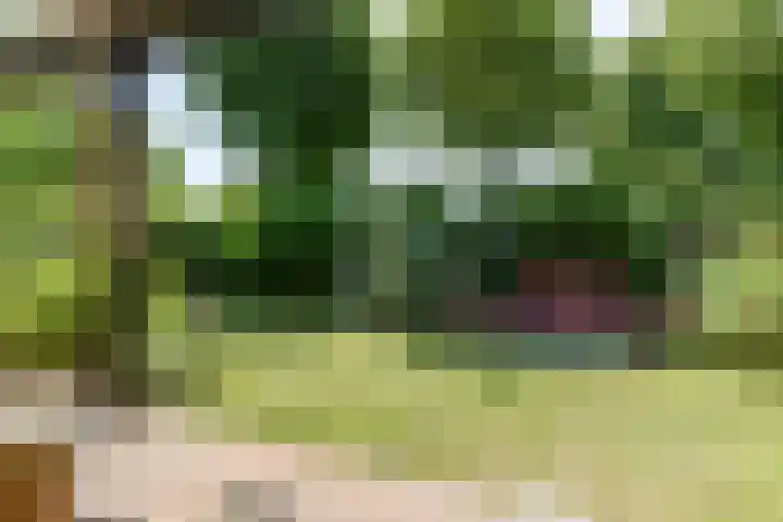 Prinsenhof 85 Ouddorp thumbnail 27