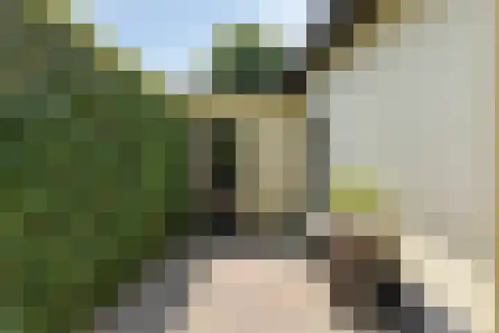 Prinsenhof 85 Ouddorp thumbnail 31