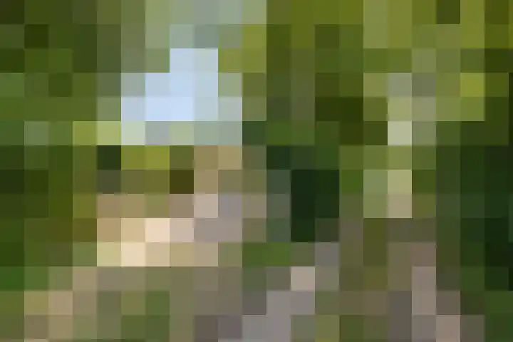Prinsenhof 85 Ouddorp thumbnail 32