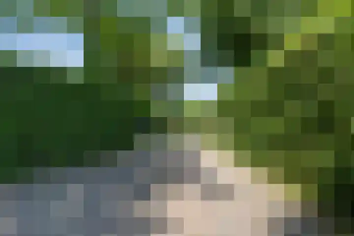 Prinsenhof 85 Ouddorp thumbnail 33