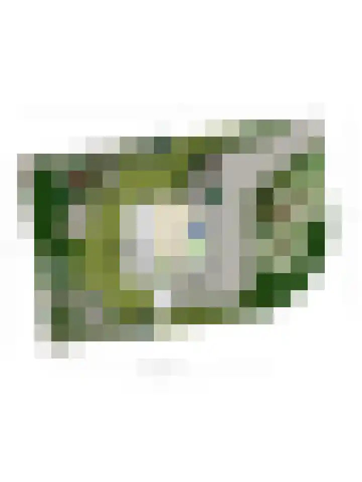 Prinsenhof 85 Ouddorp thumbnail 37