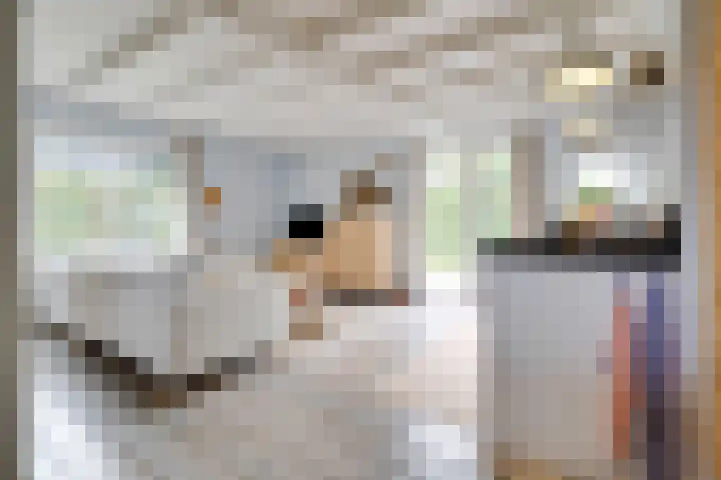 Prinsenhof 92 Ouddorp thumbnail 11