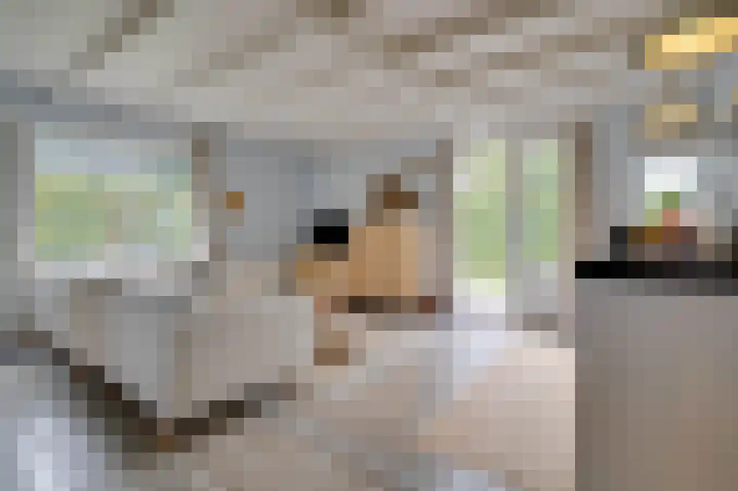 Prinsenhof 92 Ouddorp thumbnail 4