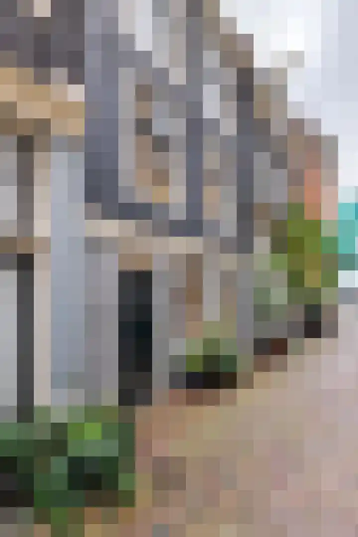 Prinsenhofssteeg 7 in Amsterdam