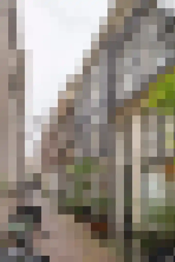 Prinsenhofssteeg 7 Amsterdam thumbnail 10