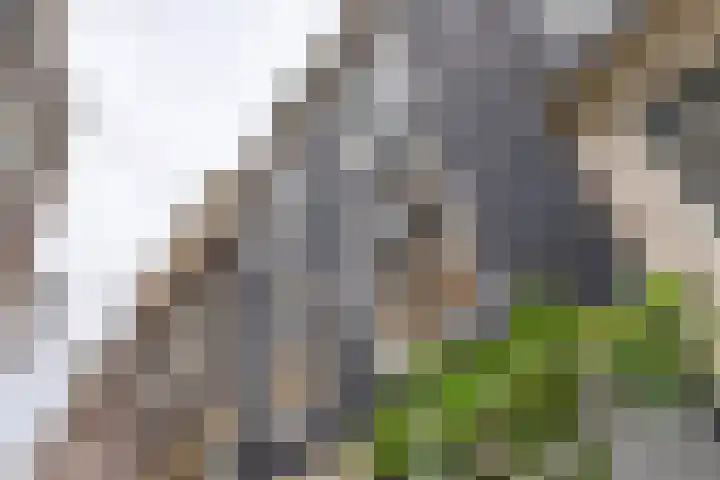 Prinsenhofssteeg 7 Amsterdam thumbnail 12