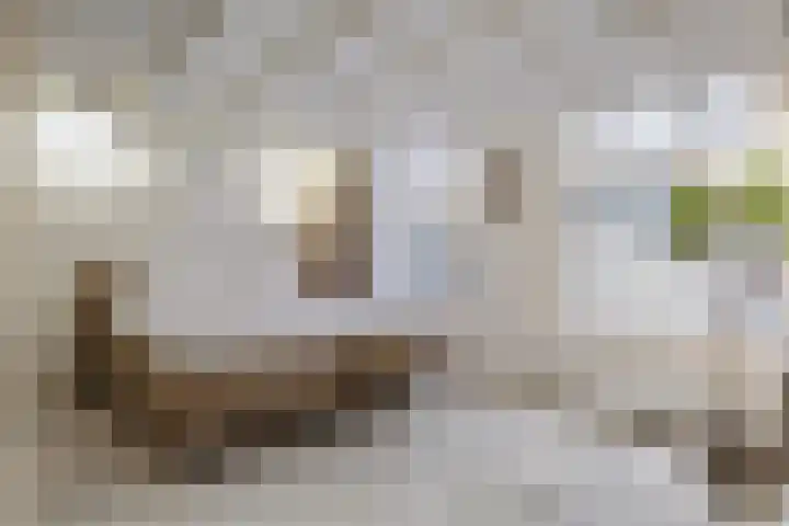 Prinsenhofssteeg 7 Amsterdam thumbnail 5