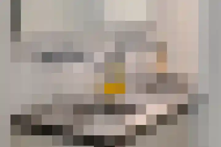 Prinsenhofssteeg 7 Amsterdam thumbnail 51
