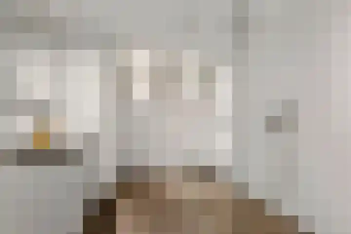 Prinsenhofssteeg 7 Amsterdam thumbnail 6