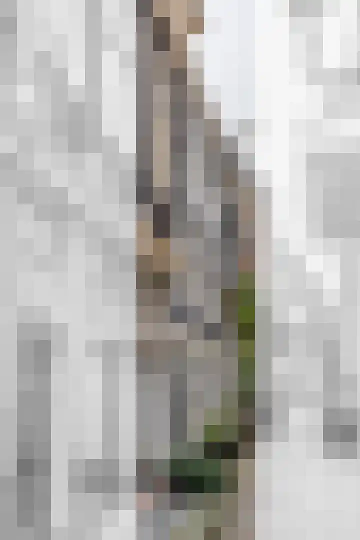 Prinsenhofssteeg 7 Amsterdam thumbnail 76