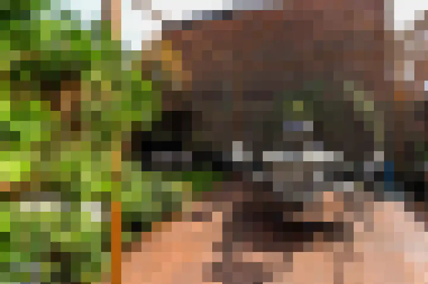 Prinsenhofstraat 5 Venlo thumbnail 21