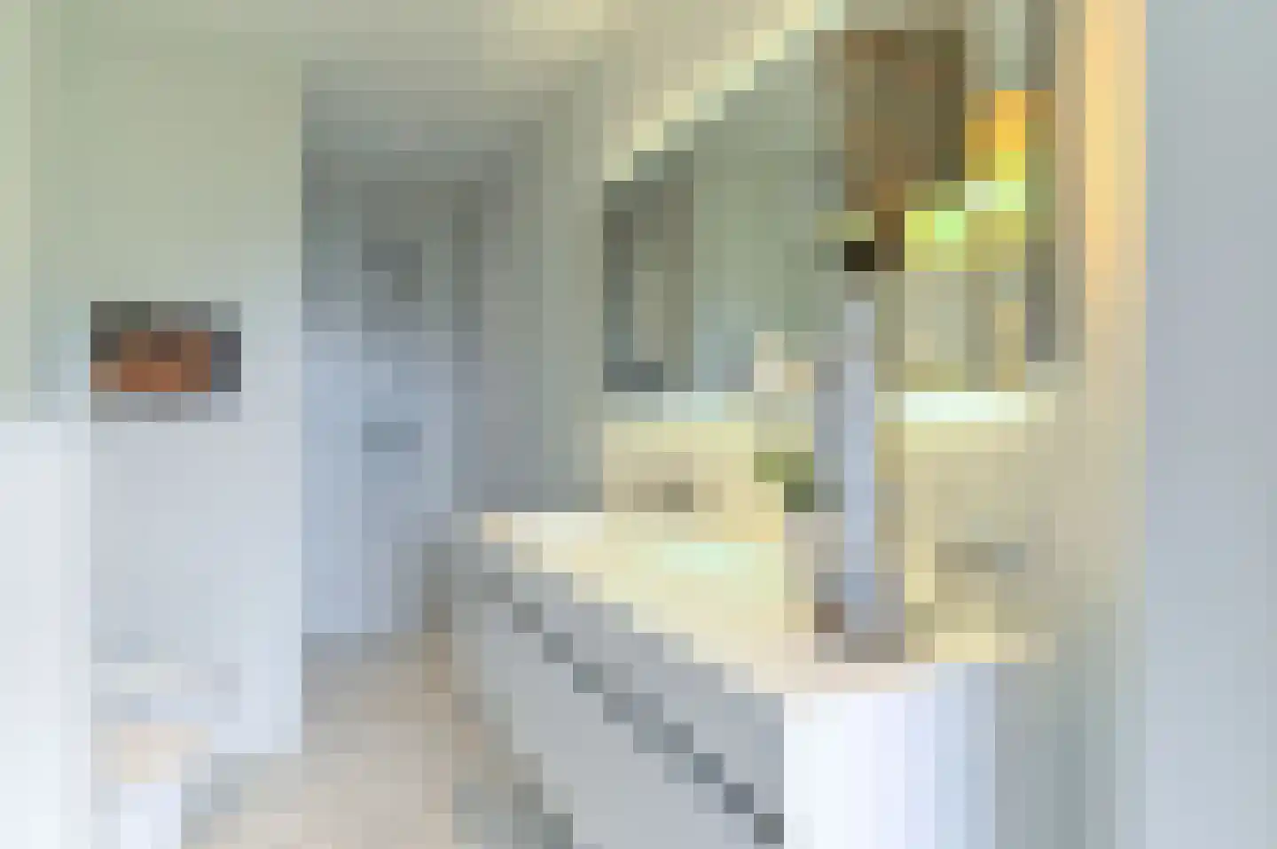 Prinsenhofstraat 5 Venlo thumbnail 30