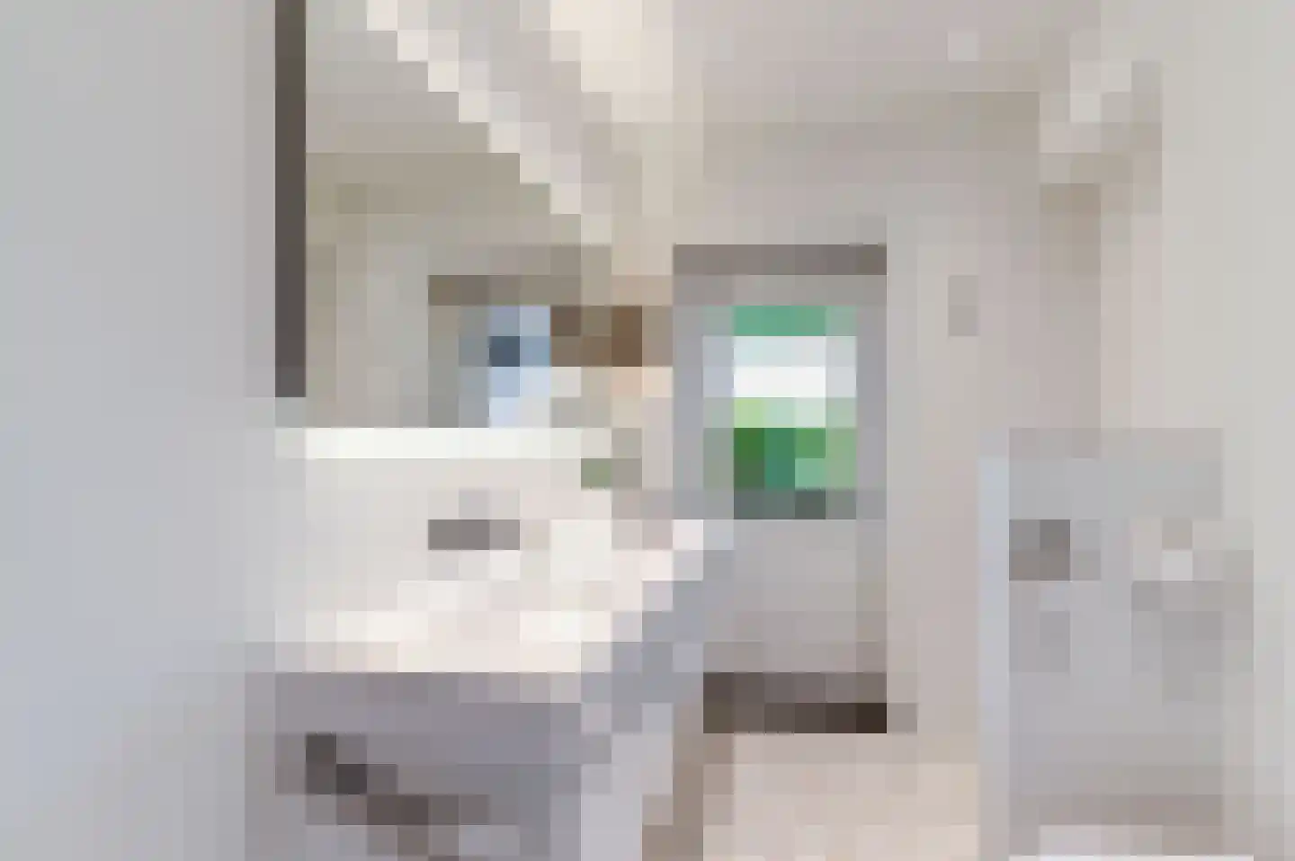 Prinsenhofstraat 5 Venlo thumbnail 31