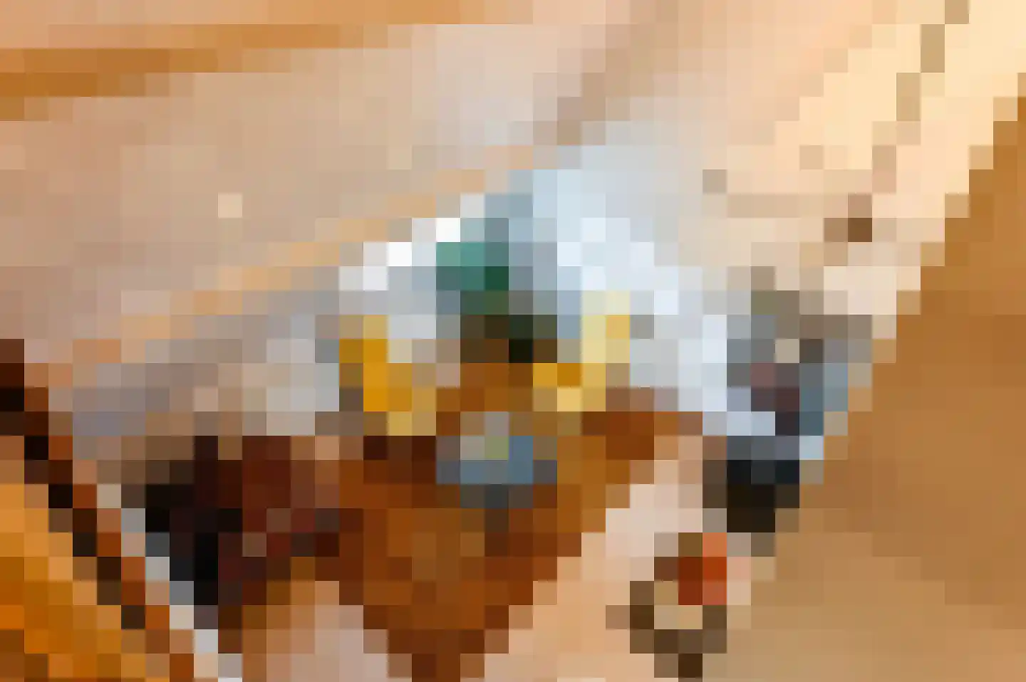 Prinsenhofstraat 5 Venlo thumbnail 35