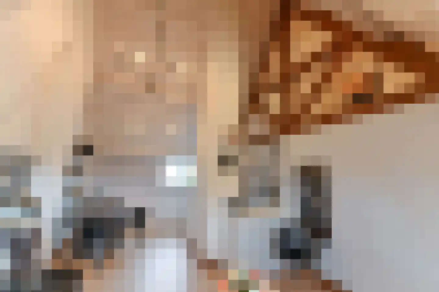 Prinsenhofstraat 5 Venlo thumbnail 36