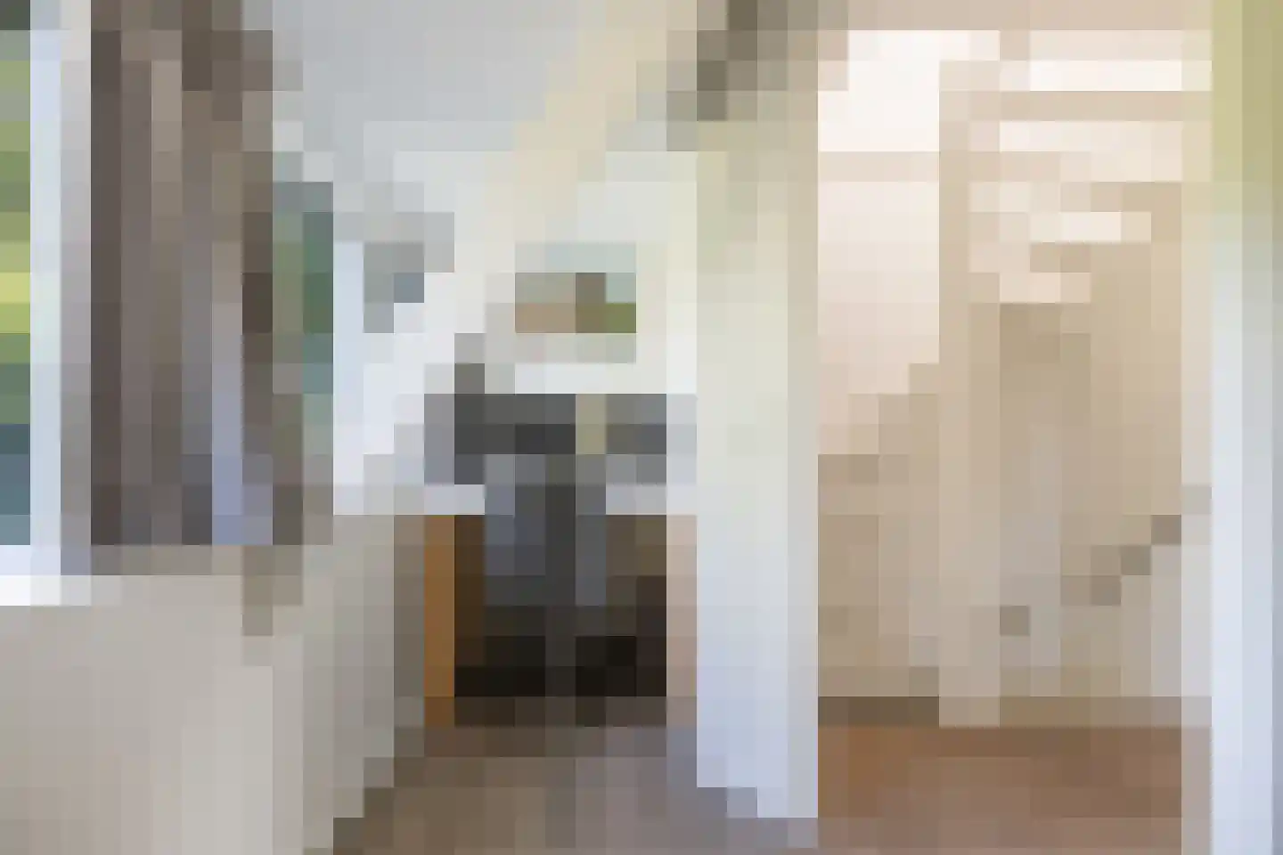 Prinsenhofweg 1 Schoonebeek thumbnail 29