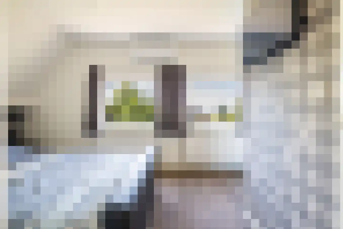 Prinsenhofweg 1 Schoonebeek thumbnail 31