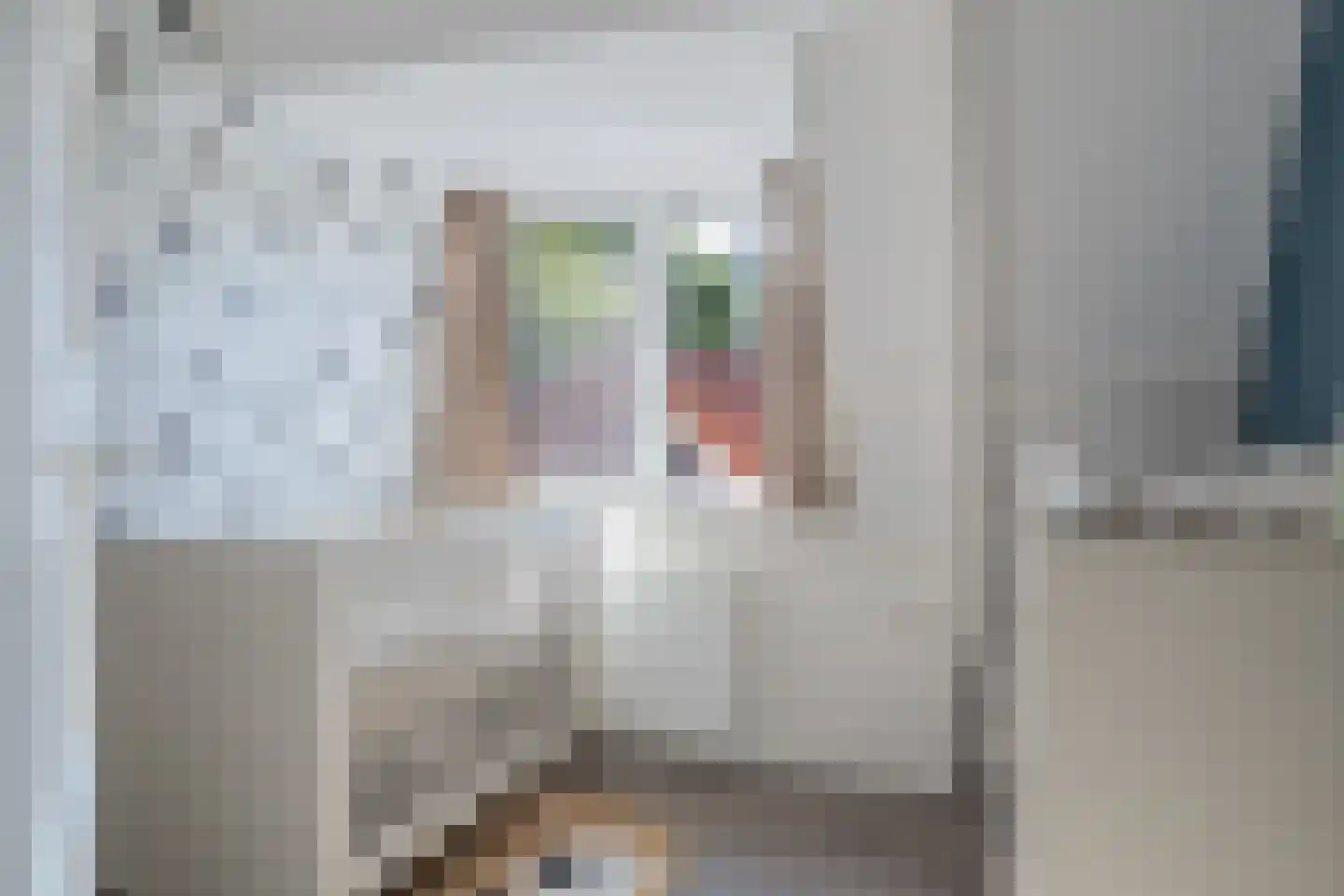 Prinsenhofweg 1 Schoonebeek thumbnail 34