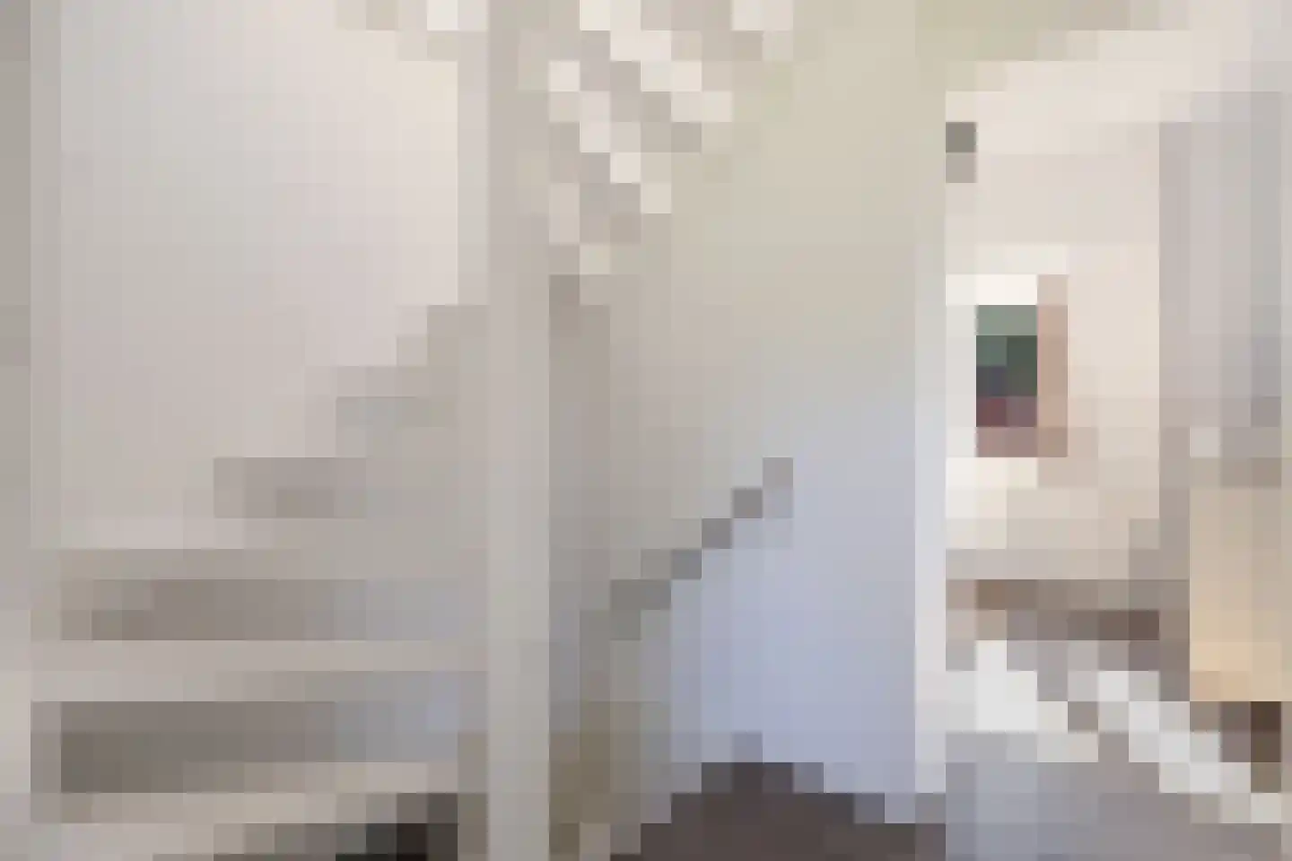 Prinsenhofweg 1 Schoonebeek thumbnail 35