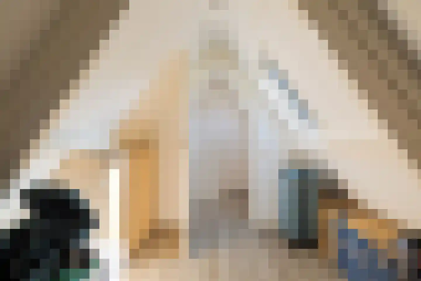 Prinsenhofweg 1 Schoonebeek thumbnail 38