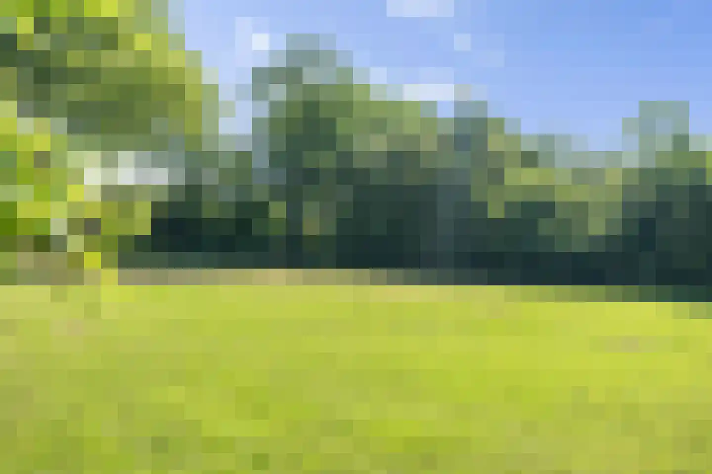 Prinsenhofweg 1 Schoonebeek thumbnail 42