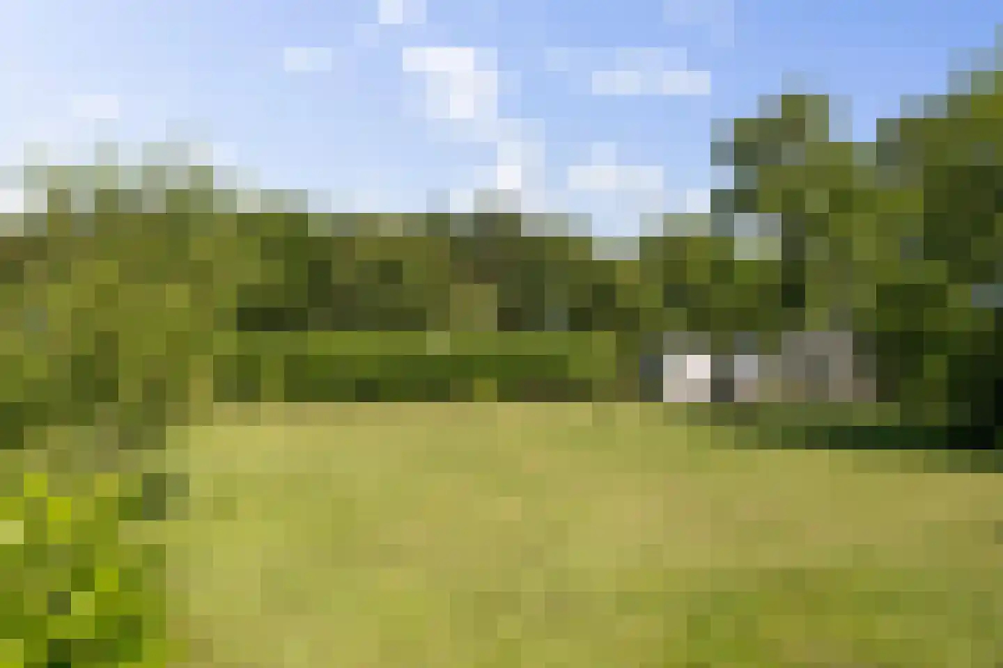 Prinsenhofweg 1 Schoonebeek thumbnail 45