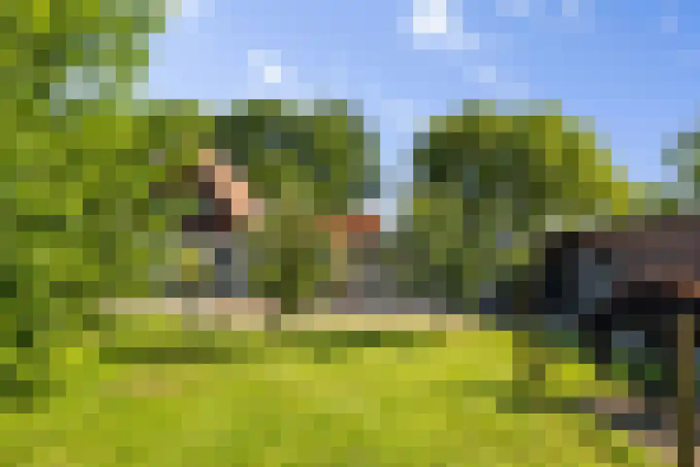 Prinsenhofweg 1 Schoonebeek thumbnail 47