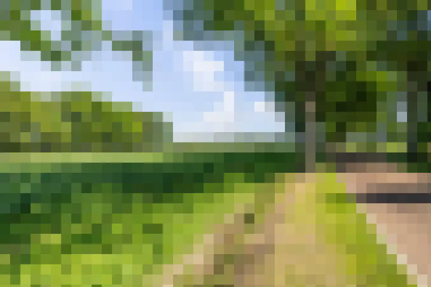 Prinsenhofweg 1 Schoonebeek thumbnail 50