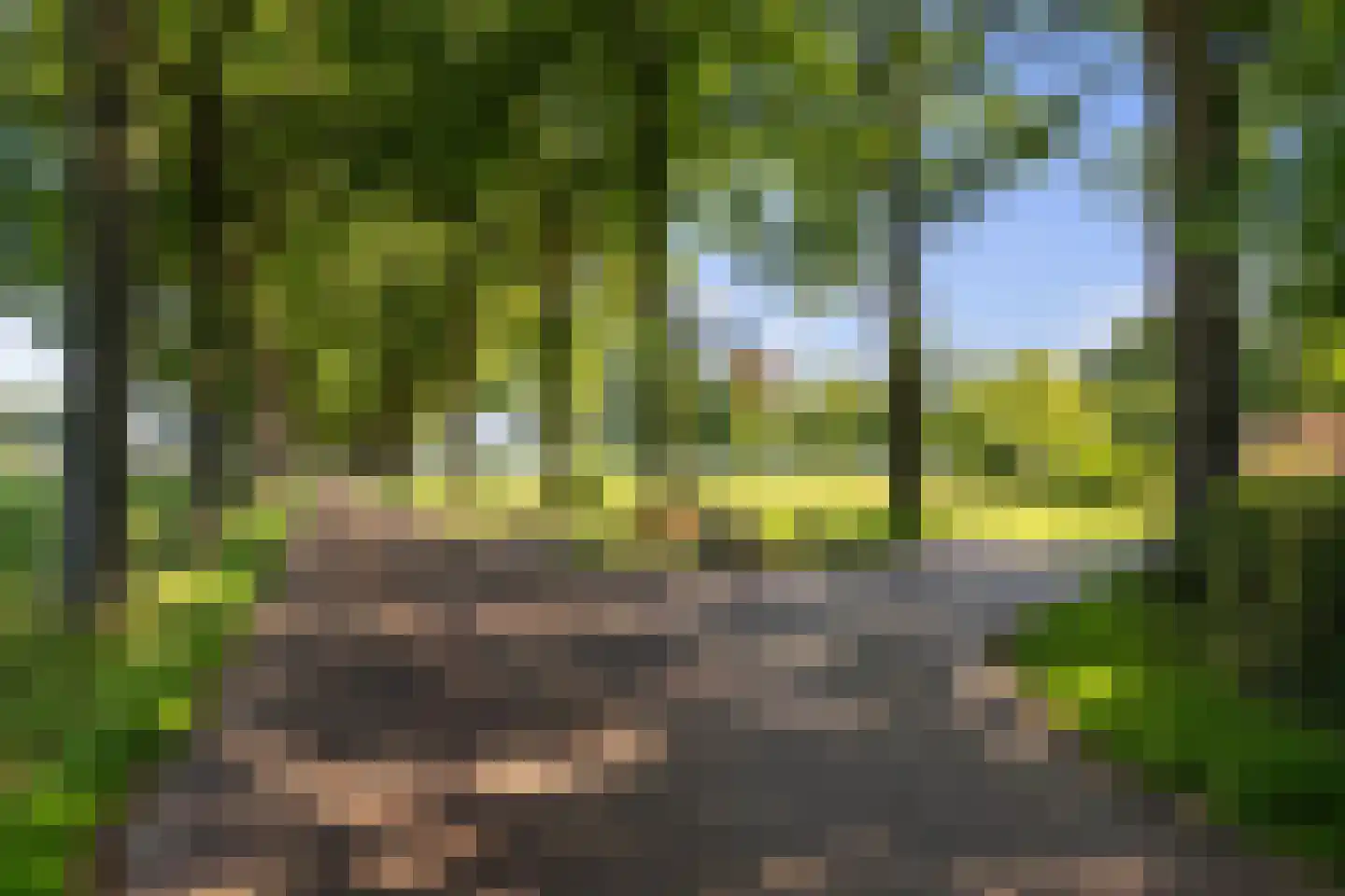 Prinsenhofweg 1 Schoonebeek thumbnail 52