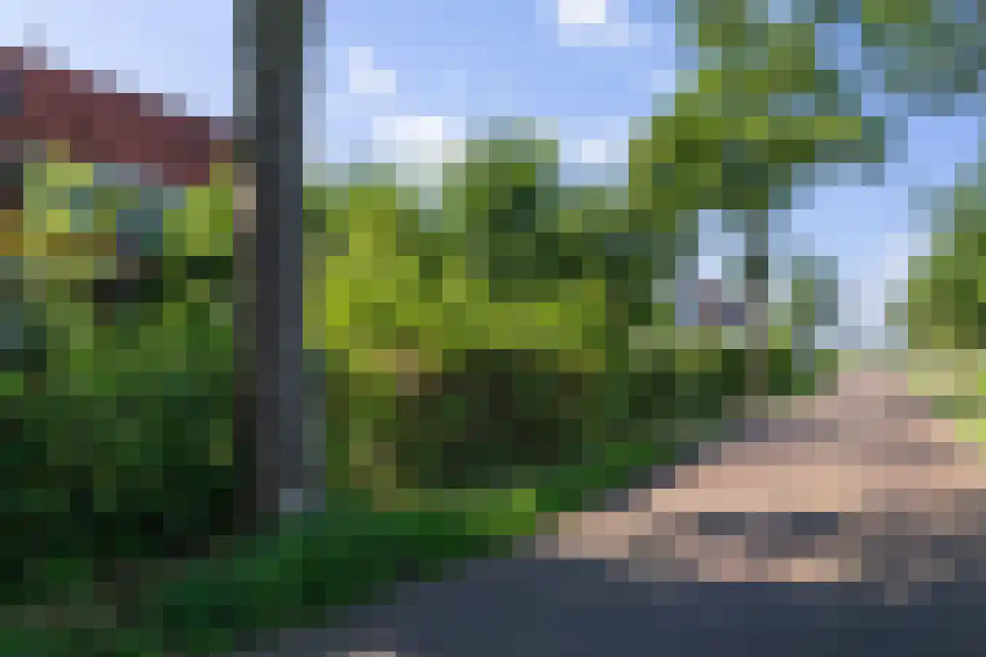 Prinsenhofweg 1 Schoonebeek thumbnail 53