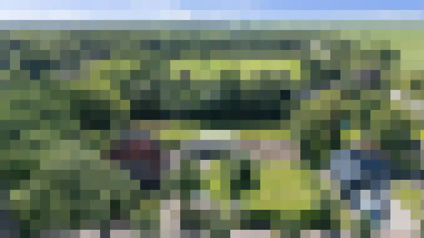 Prinsenhofweg 1 Schoonebeek thumbnail 55