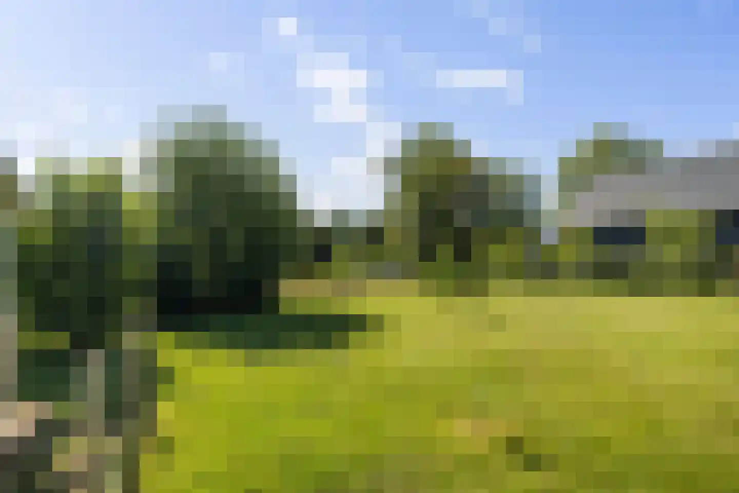 Prinsenhofweg 1 Schoonebeek thumbnail 7