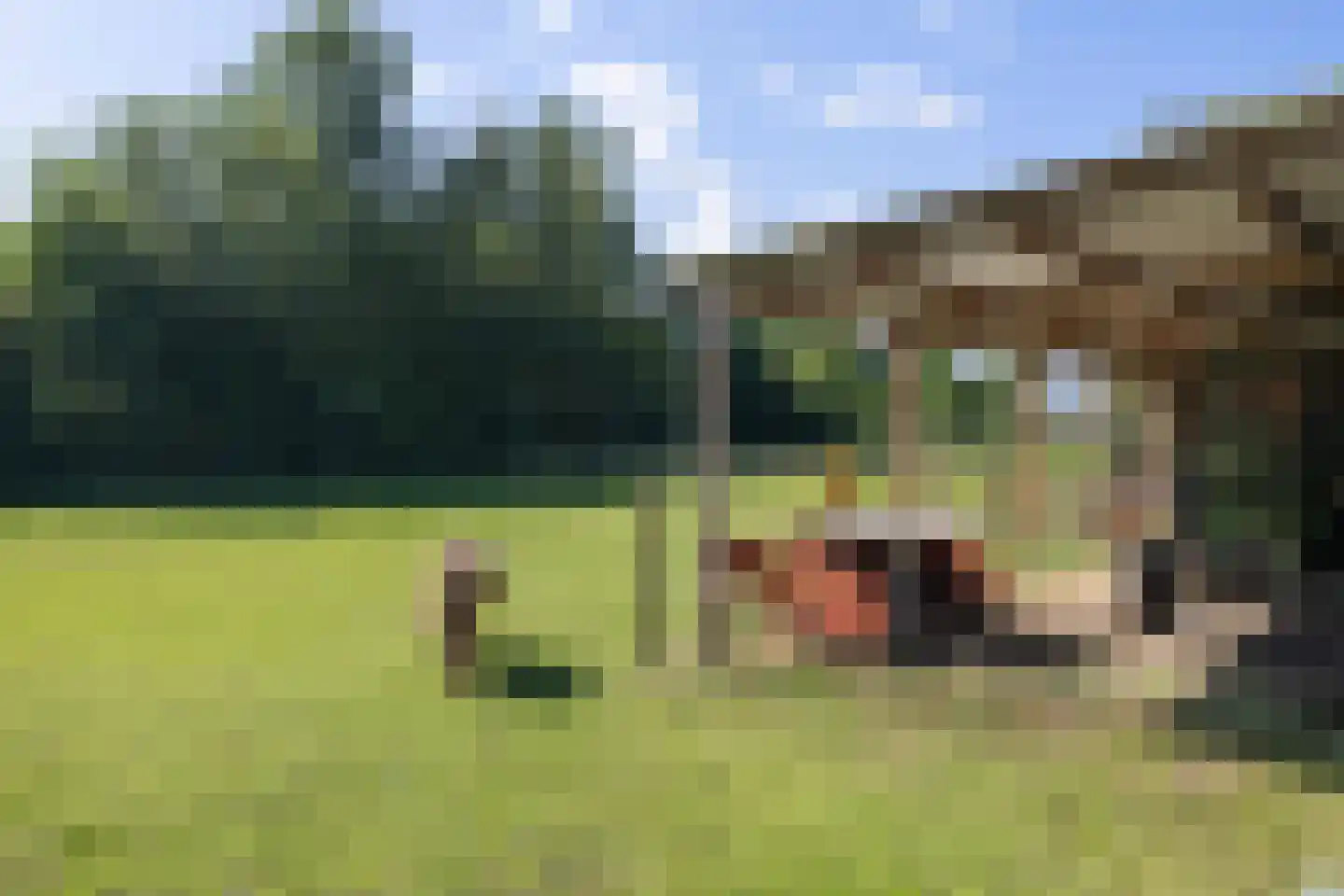 Prinsenhofweg 1 Schoonebeek thumbnail 9