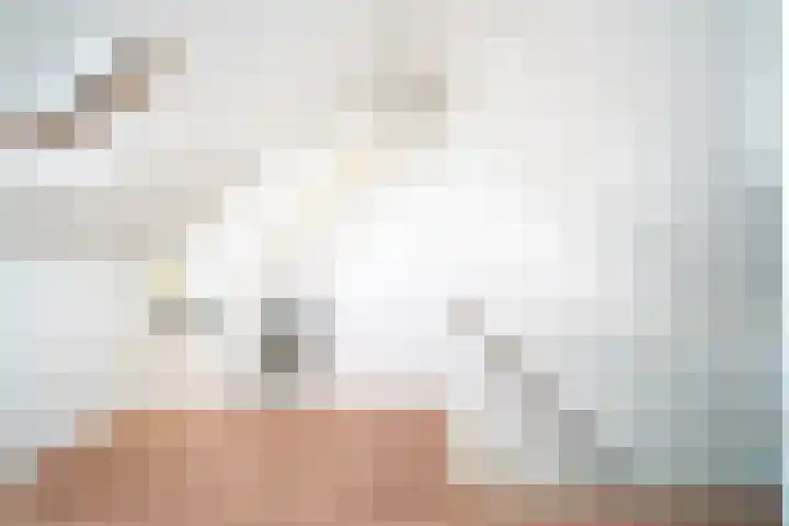 Prinsenhove 112 Middelburg thumbnail 26