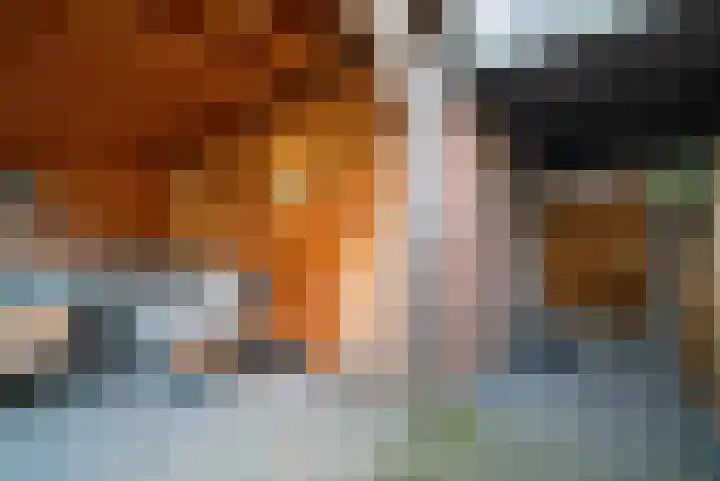 Prinsenhove 112 Middelburg thumbnail 33
