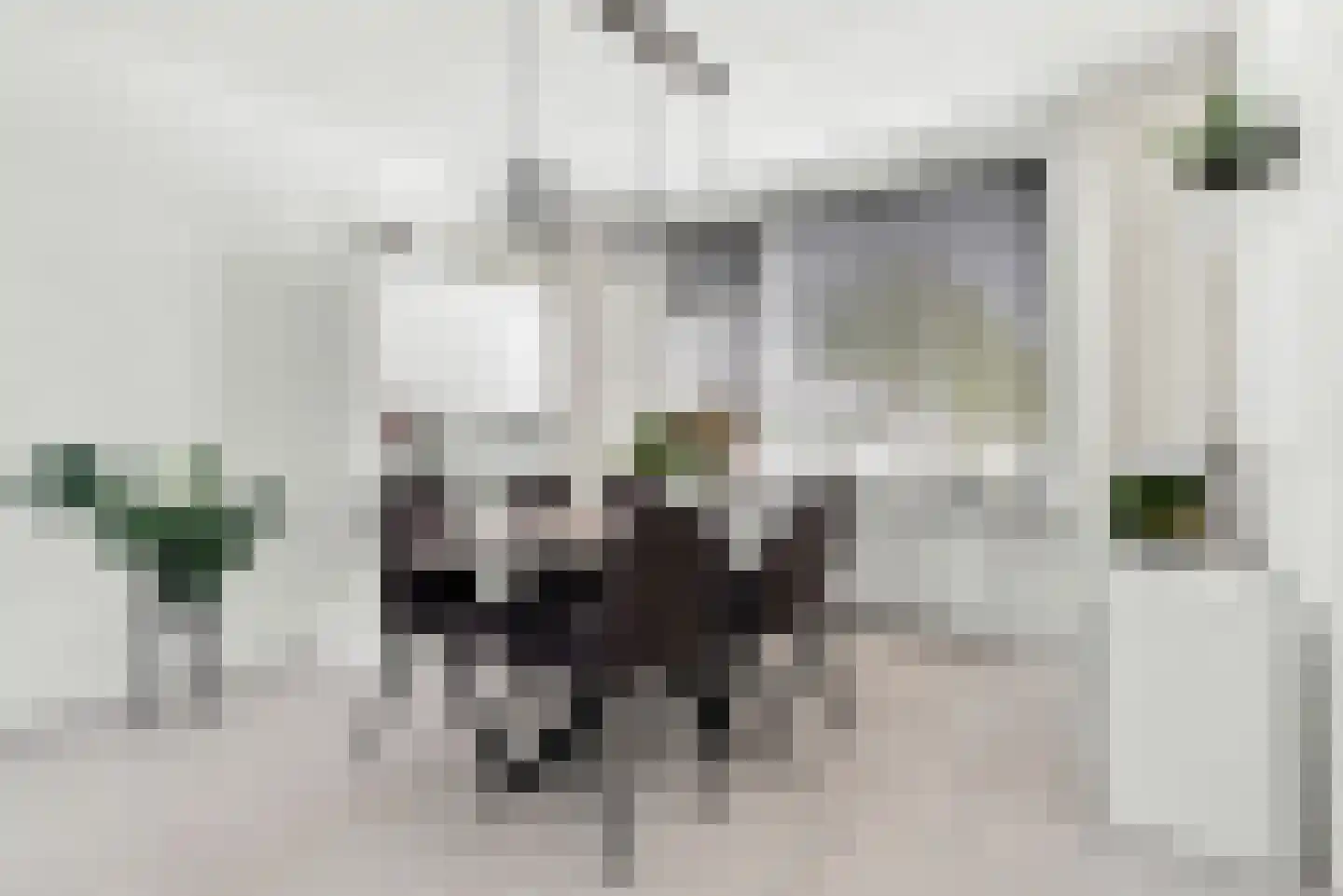 Prinsenhove 62 Middelburg thumbnail 10