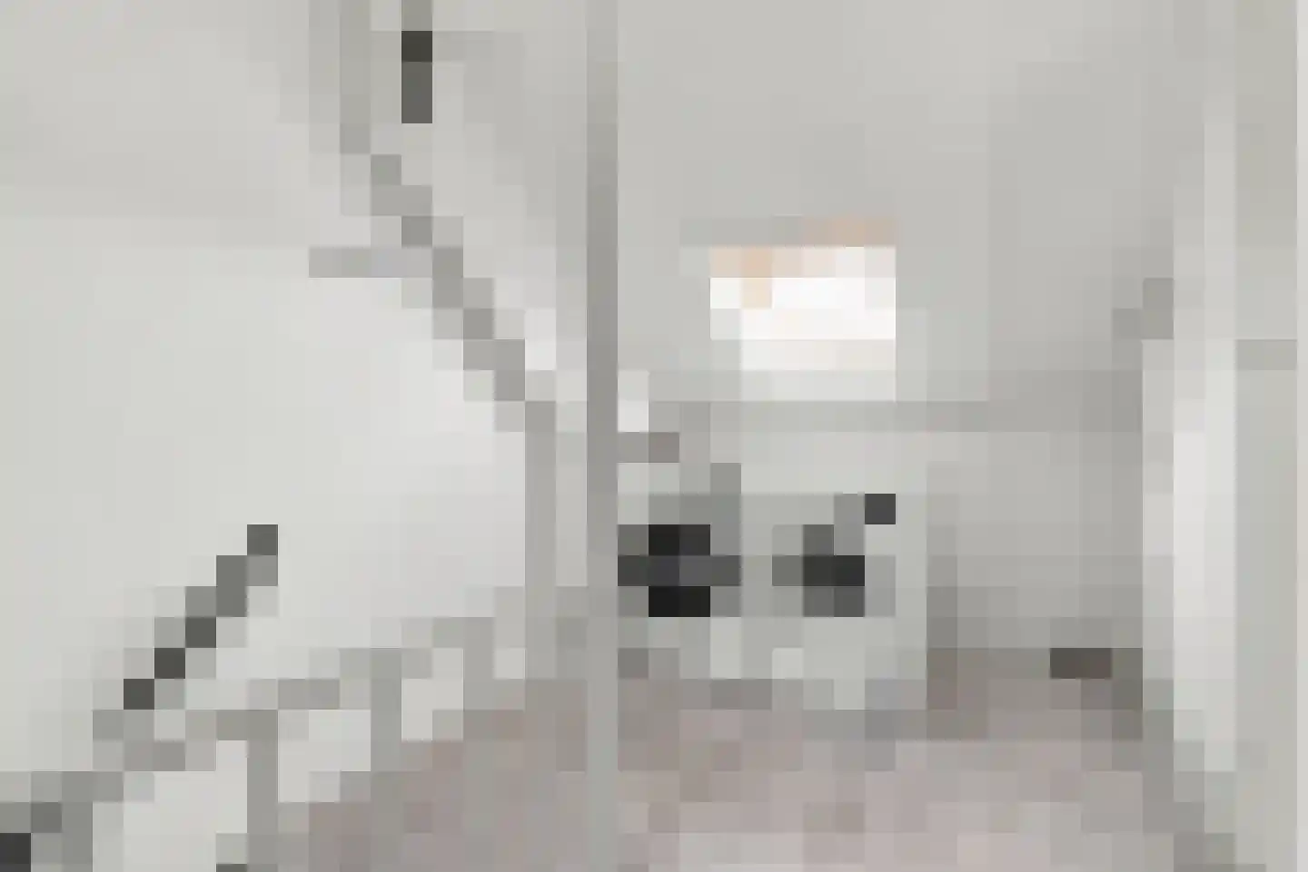 Prinsenhove 62 Middelburg thumbnail 22