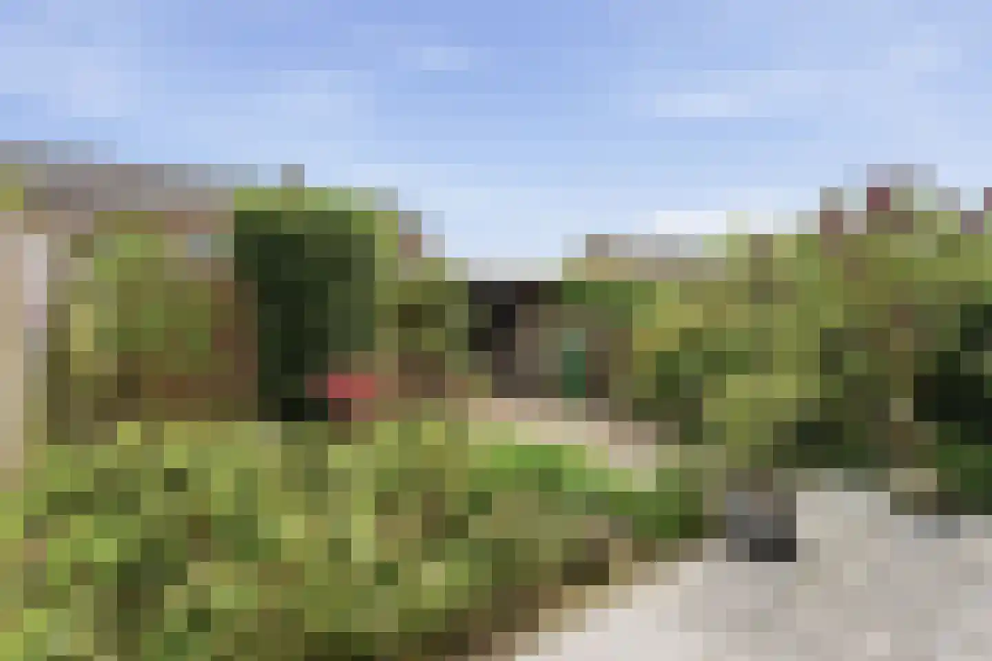 Prinsenhove 80 Middelburg thumbnail 14