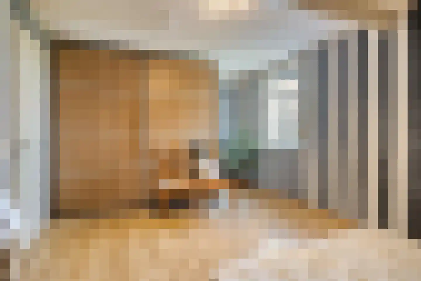 Prinsenkade 16 Sas van Gent thumbnail 15