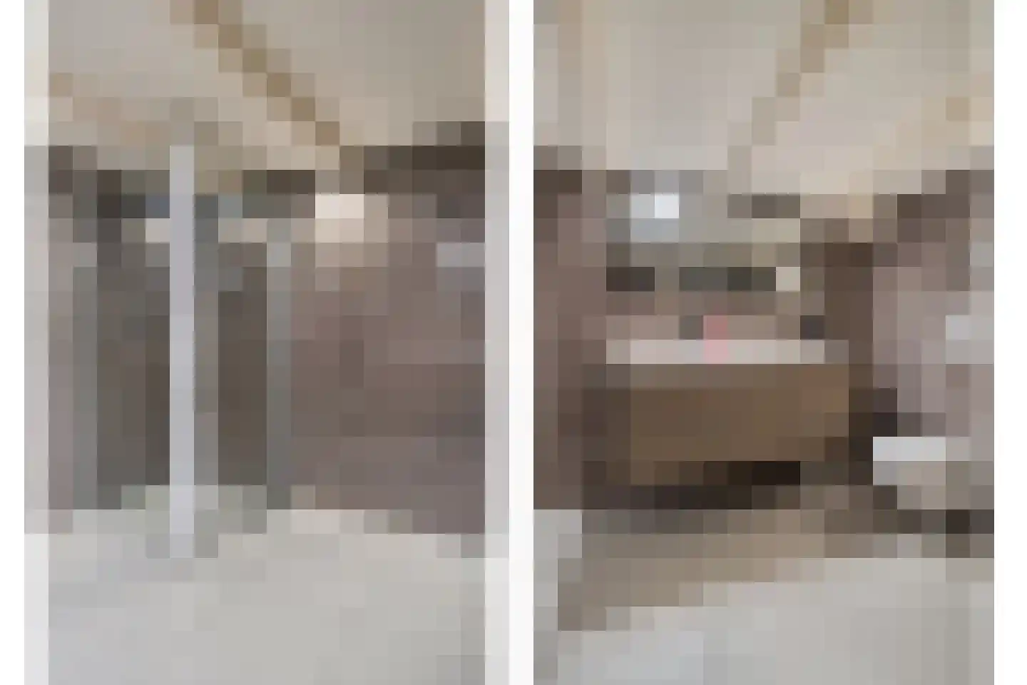 Prinsenkade 16 Sas van Gent thumbnail 4