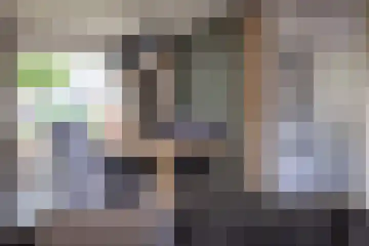 Prinsenkamp 29 Vroomshoop thumbnail 12