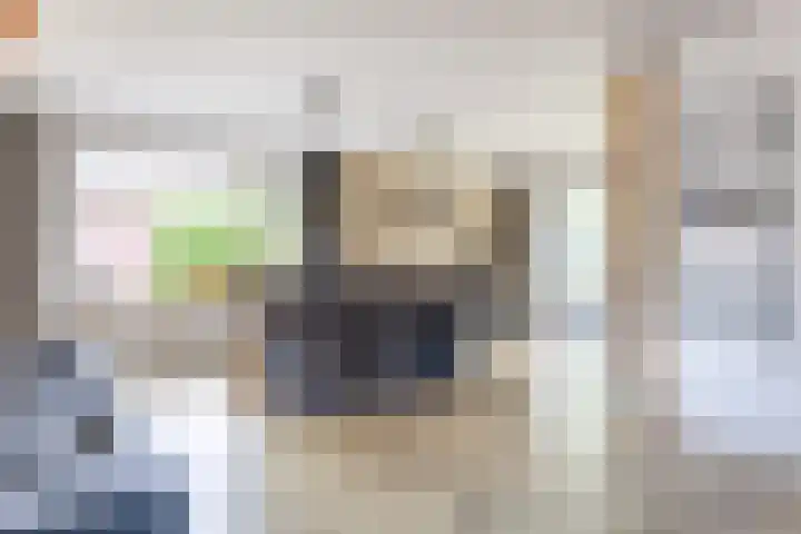 Prinsenkamp 29 Vroomshoop thumbnail 14