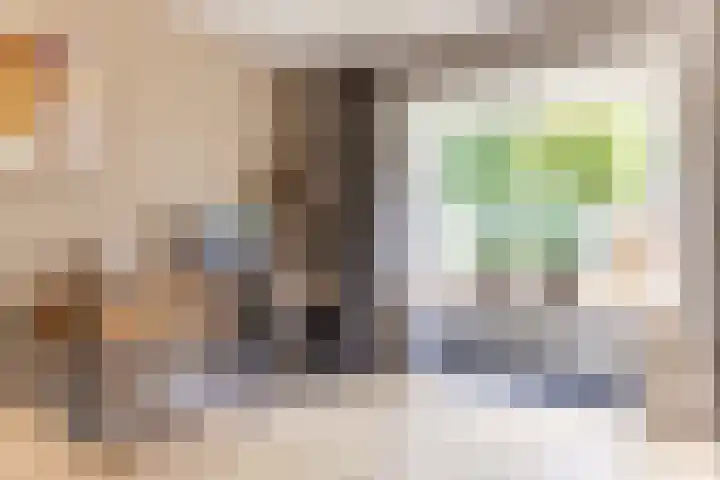 Prinsenkamp 29 Vroomshoop thumbnail 18