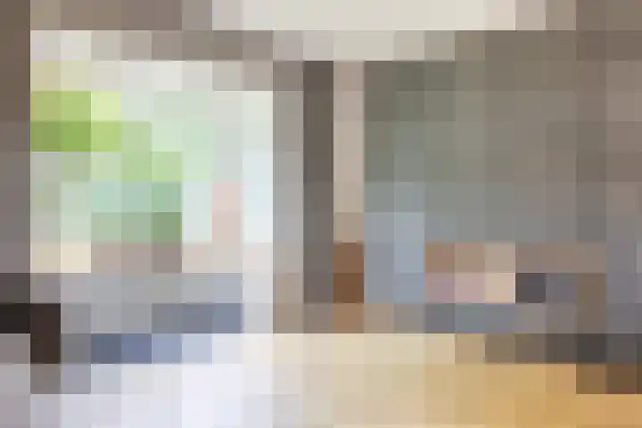 Prinsenkamp 29 Vroomshoop thumbnail 19