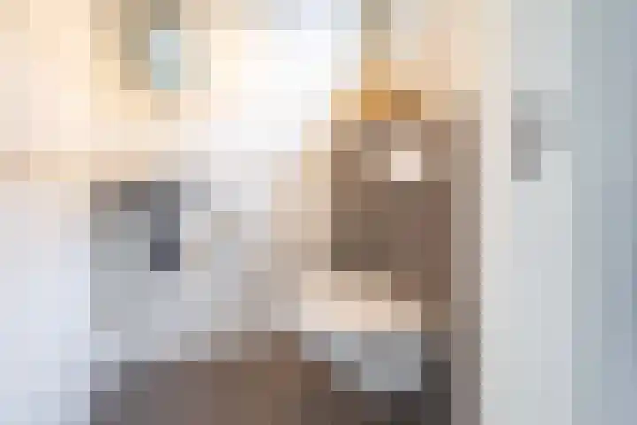Prinsenkamp 29 Vroomshoop thumbnail 27