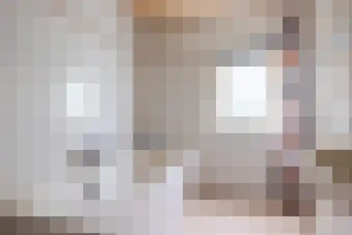 Prinsenkamp 29 Vroomshoop thumbnail 30
